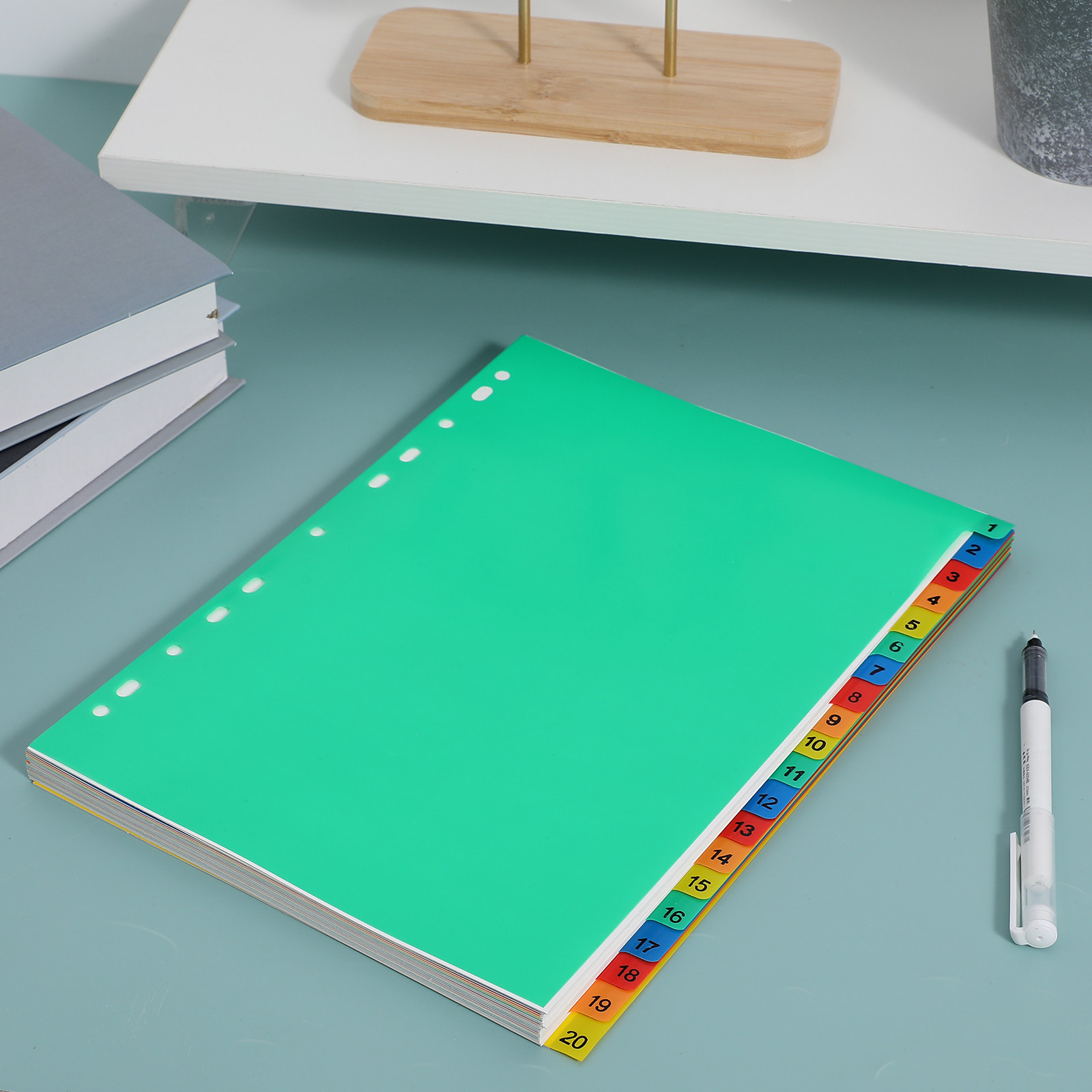 20 Pages A4 Colorful Plastic B - Tab Divider A4 บทวิจารณ์และราคา