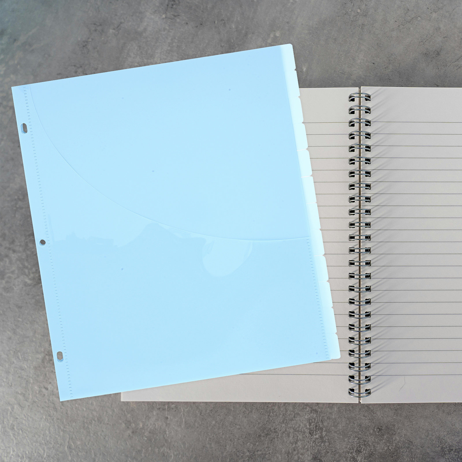 12Pcs Binder Dividers A4 Plast - Tab Divider A4 บทวิจารณ์และราคา
