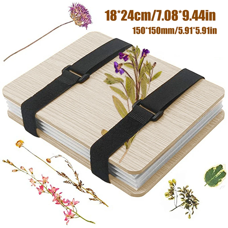 1 Set Plant Specimen Tool Kit  - Ink Blotter Paper บทวิจารณ์และราคา